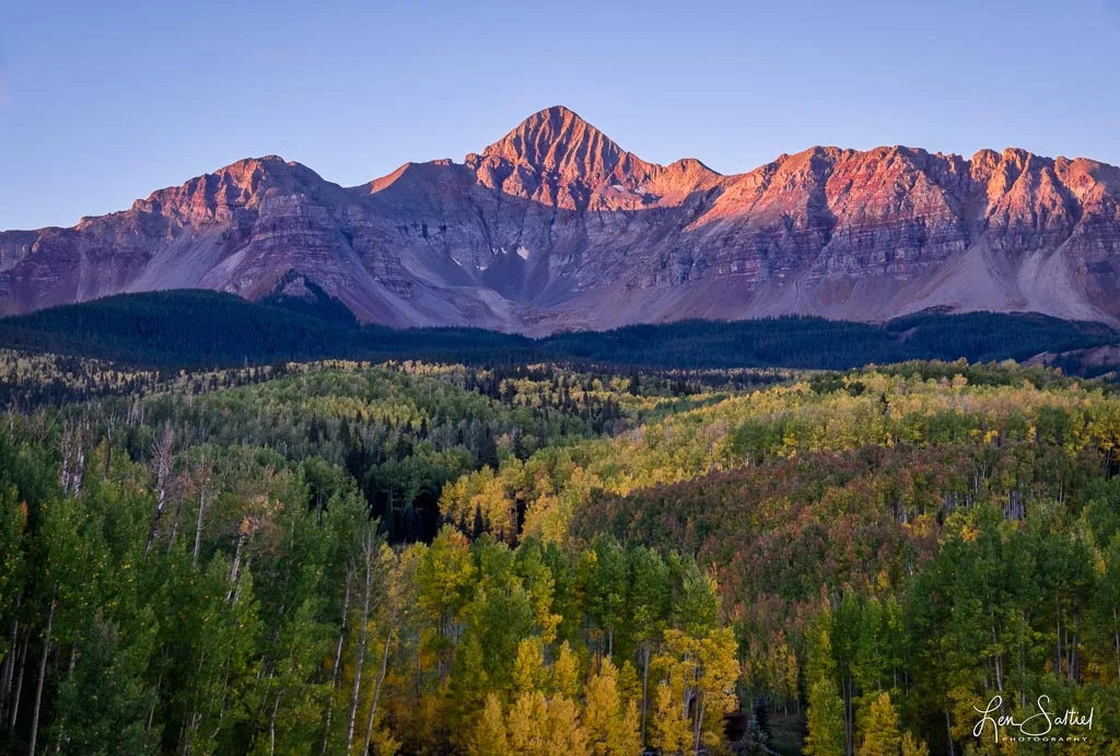 Aspen Beauty