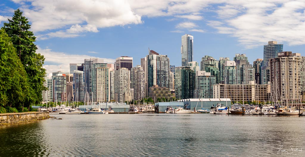 Stanley Park View