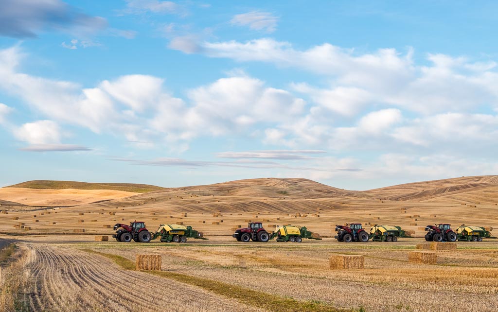 Wheat Harvest