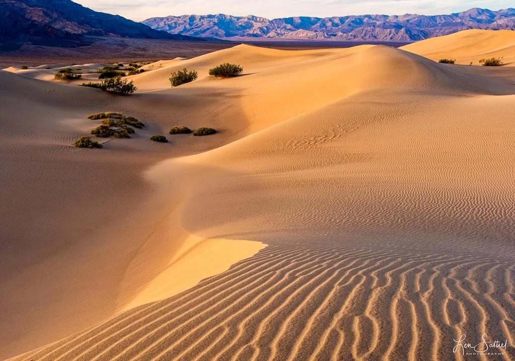 Mesquite Dunes, Death Valley National Park, California