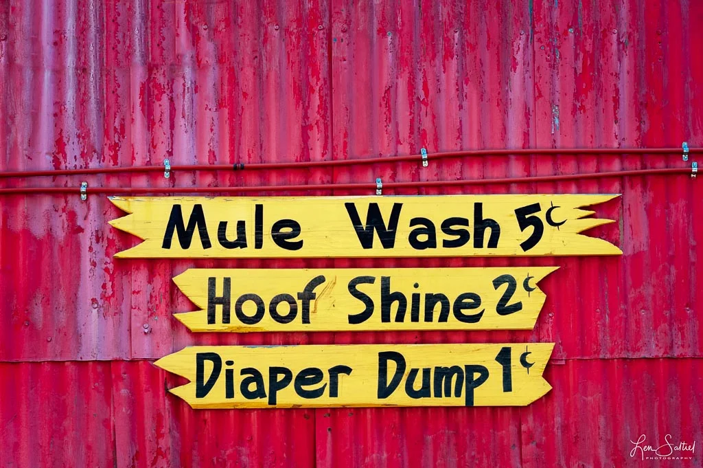 Diaper Dump