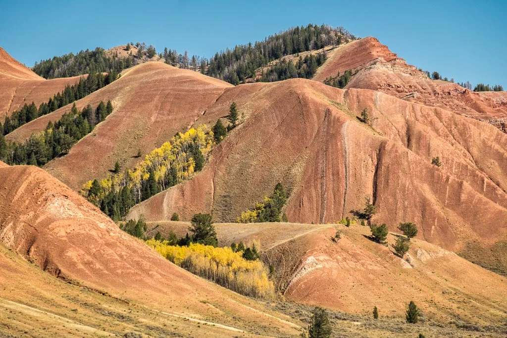 Red Hills Close Up