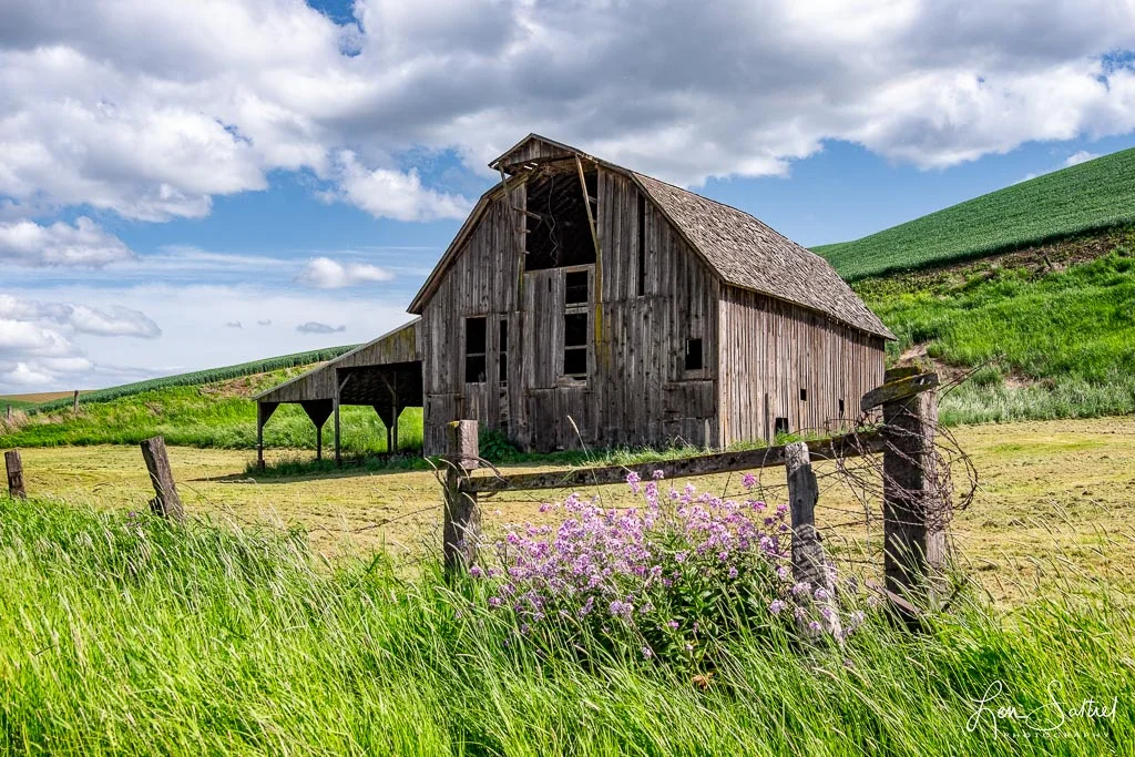 Disappearing Barns