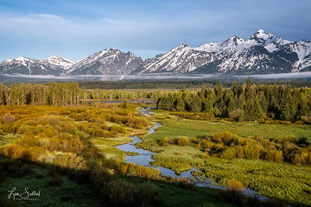 Blacktail Ponds Overlook