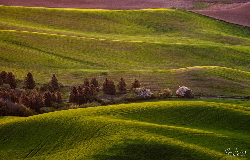 Contours
