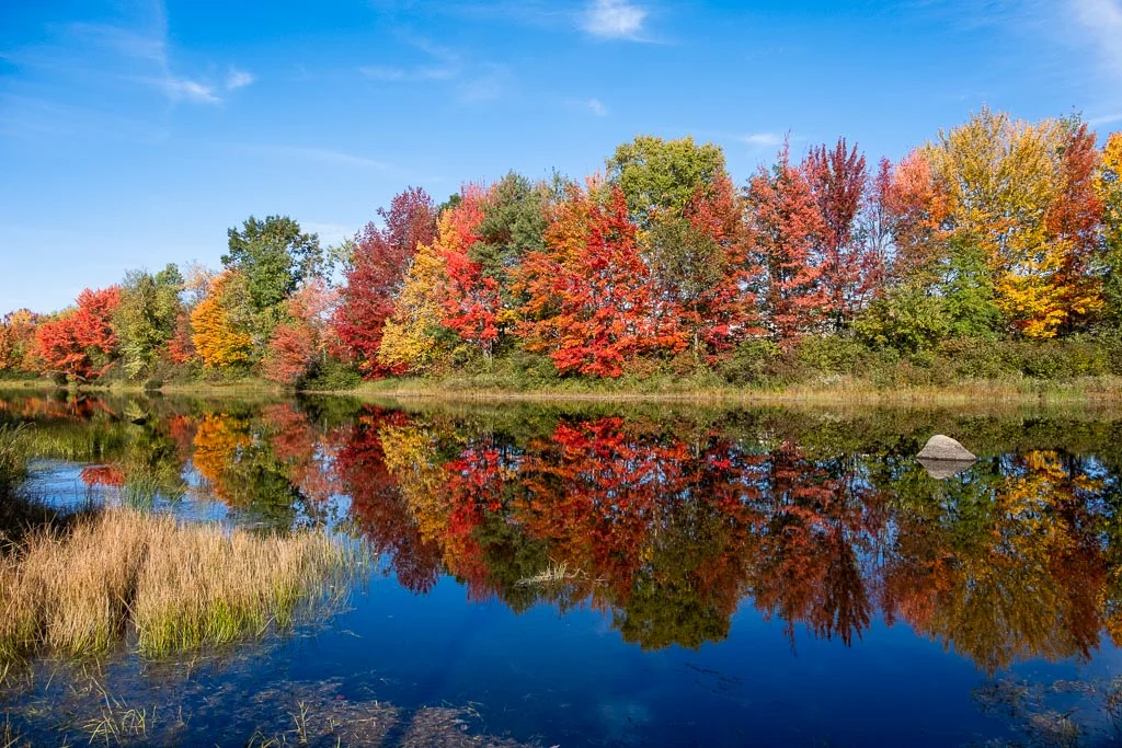 Millinocket Reflections