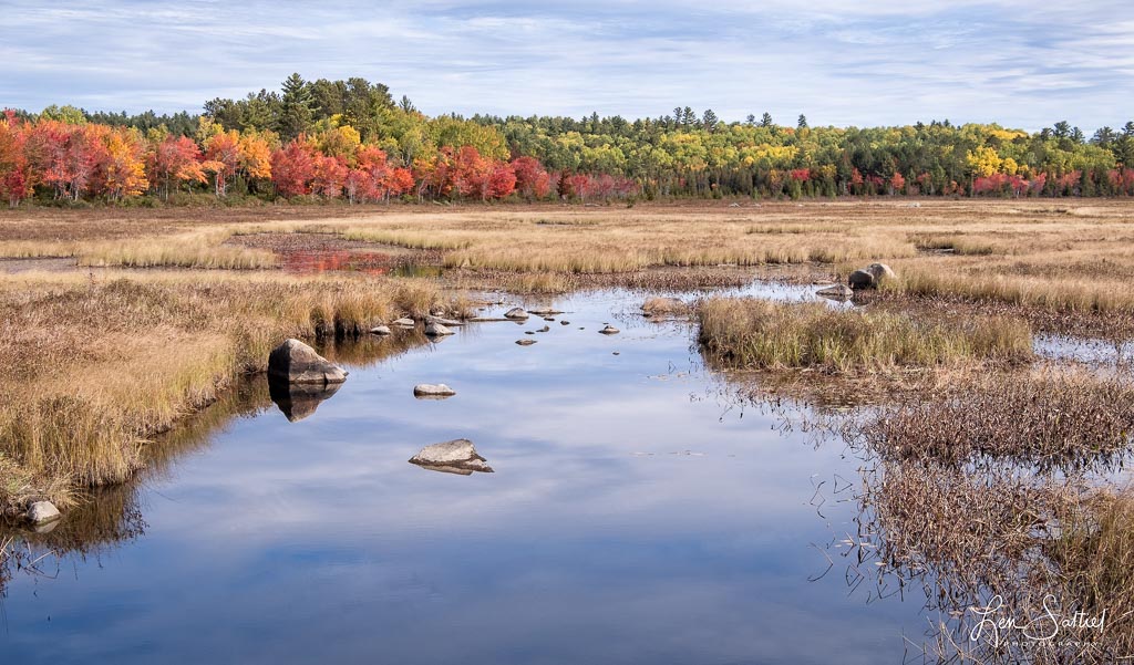 North Woods