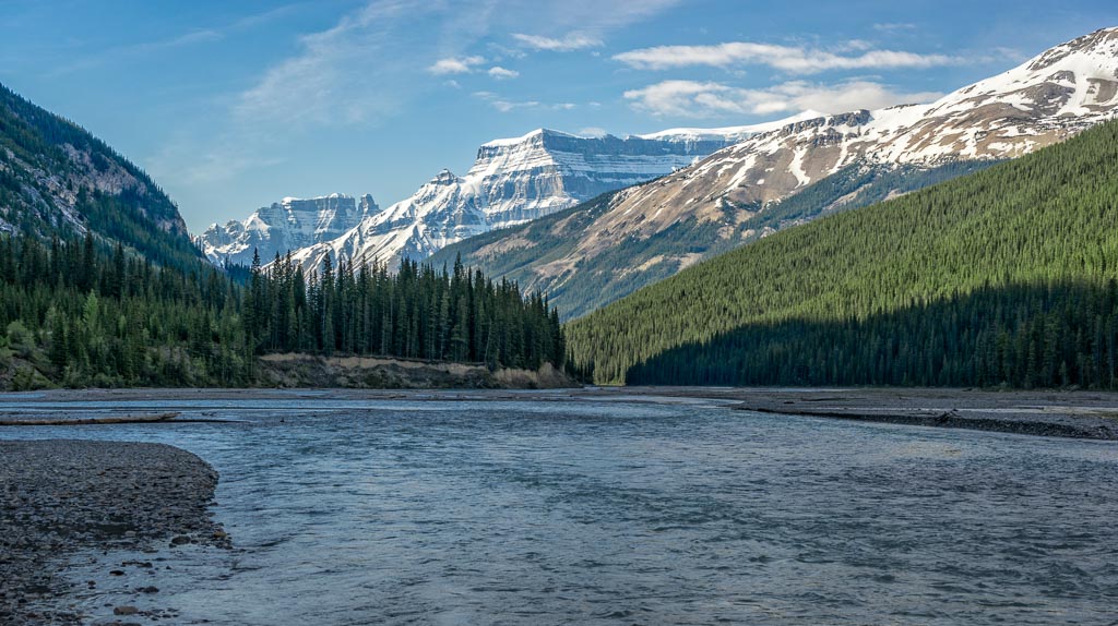 Bow River View