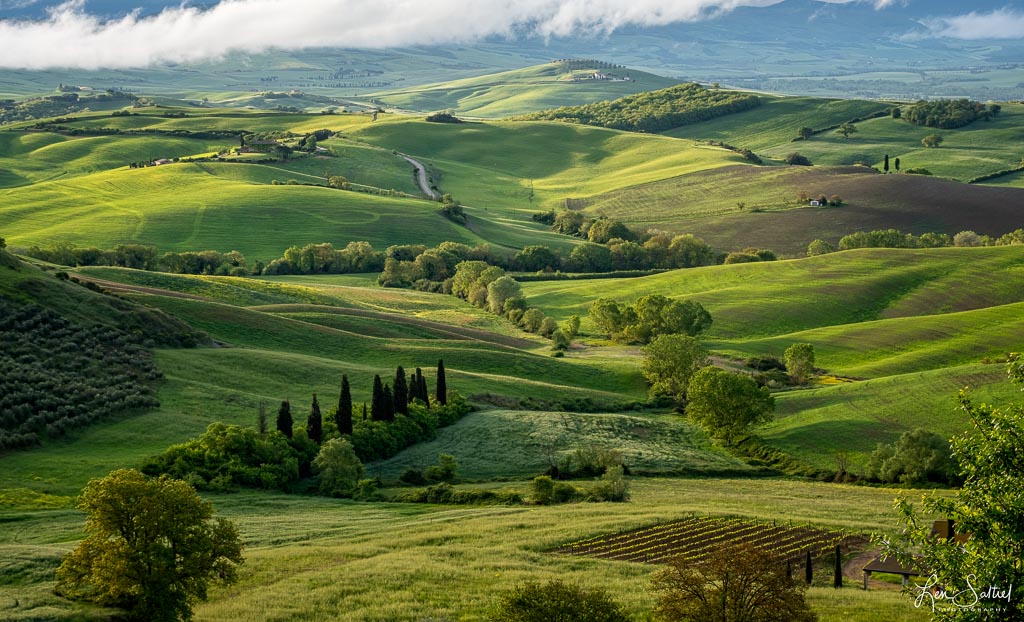 Tuscan Morning