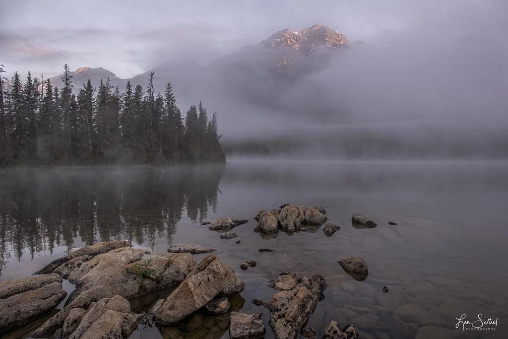 Fighting the Fog