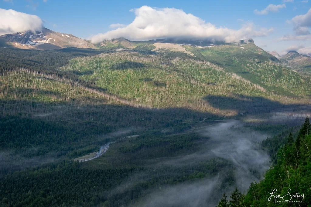 Valley Fog