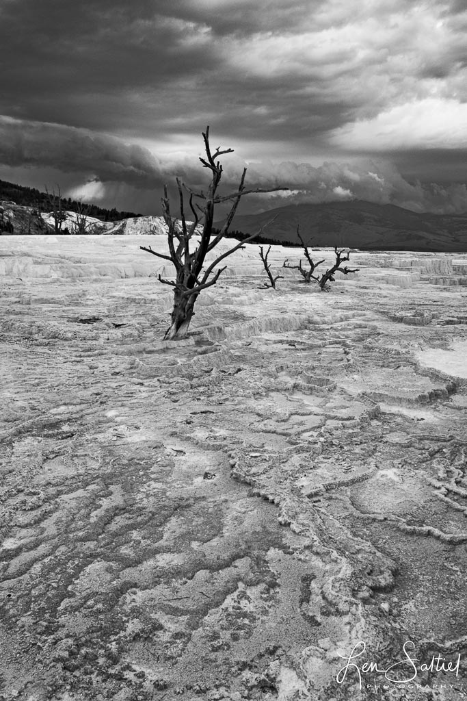 Barren