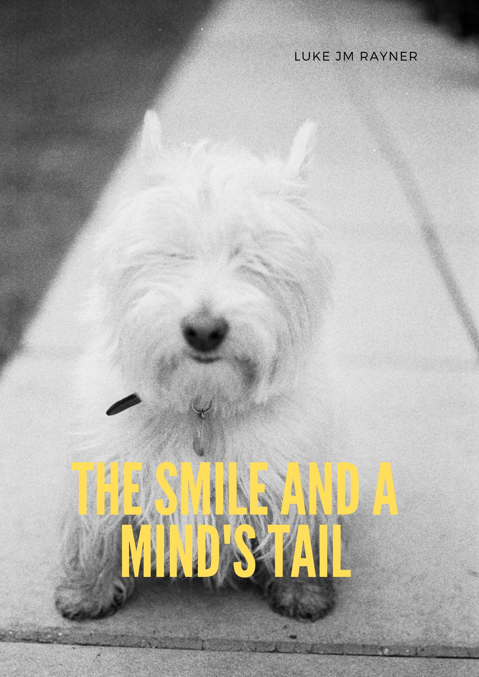A Smile and Mind's Tail.jpg