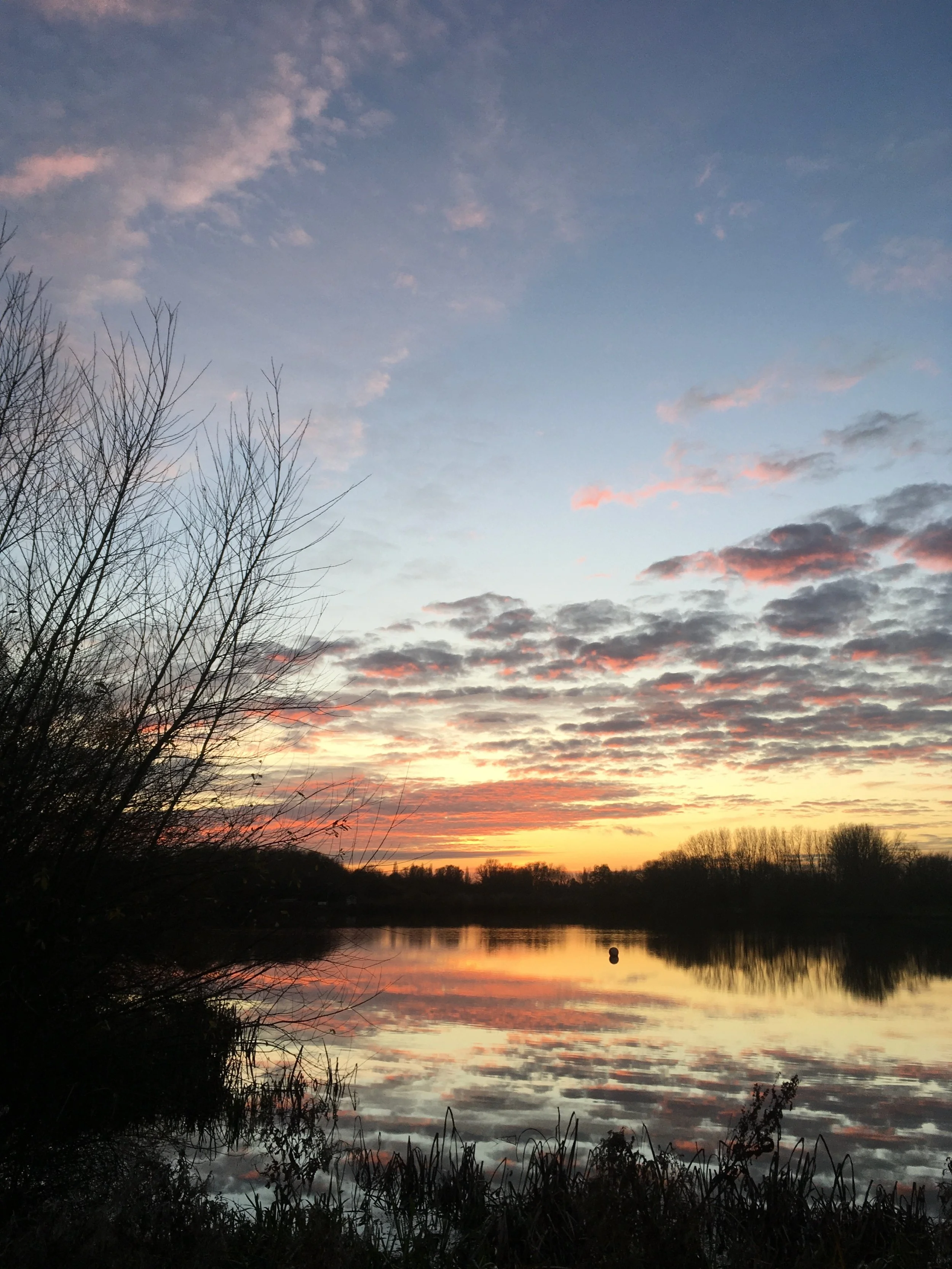IMG_0786.jpeg