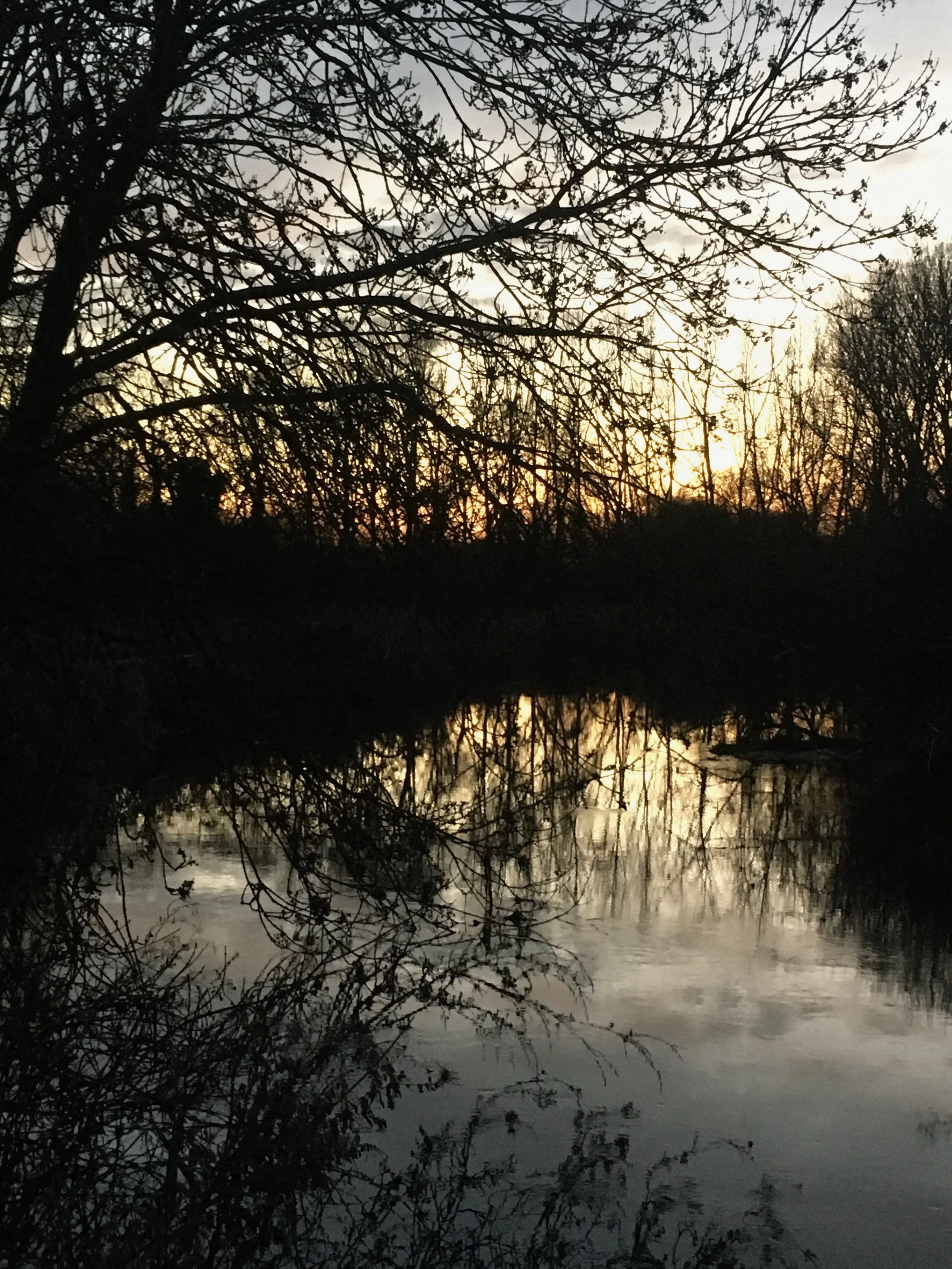 IMG_0788.jpeg