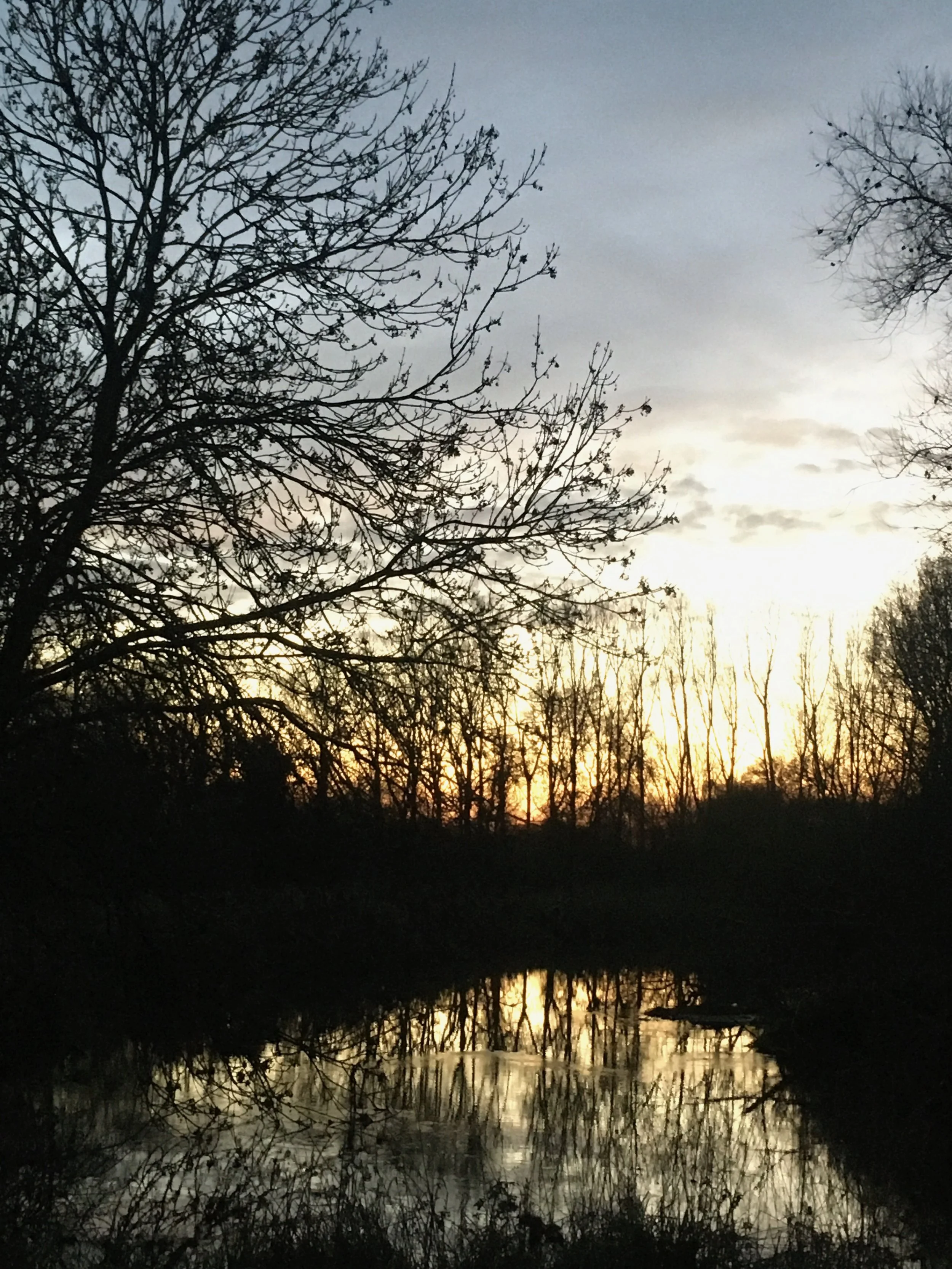 IMG_0791.jpeg