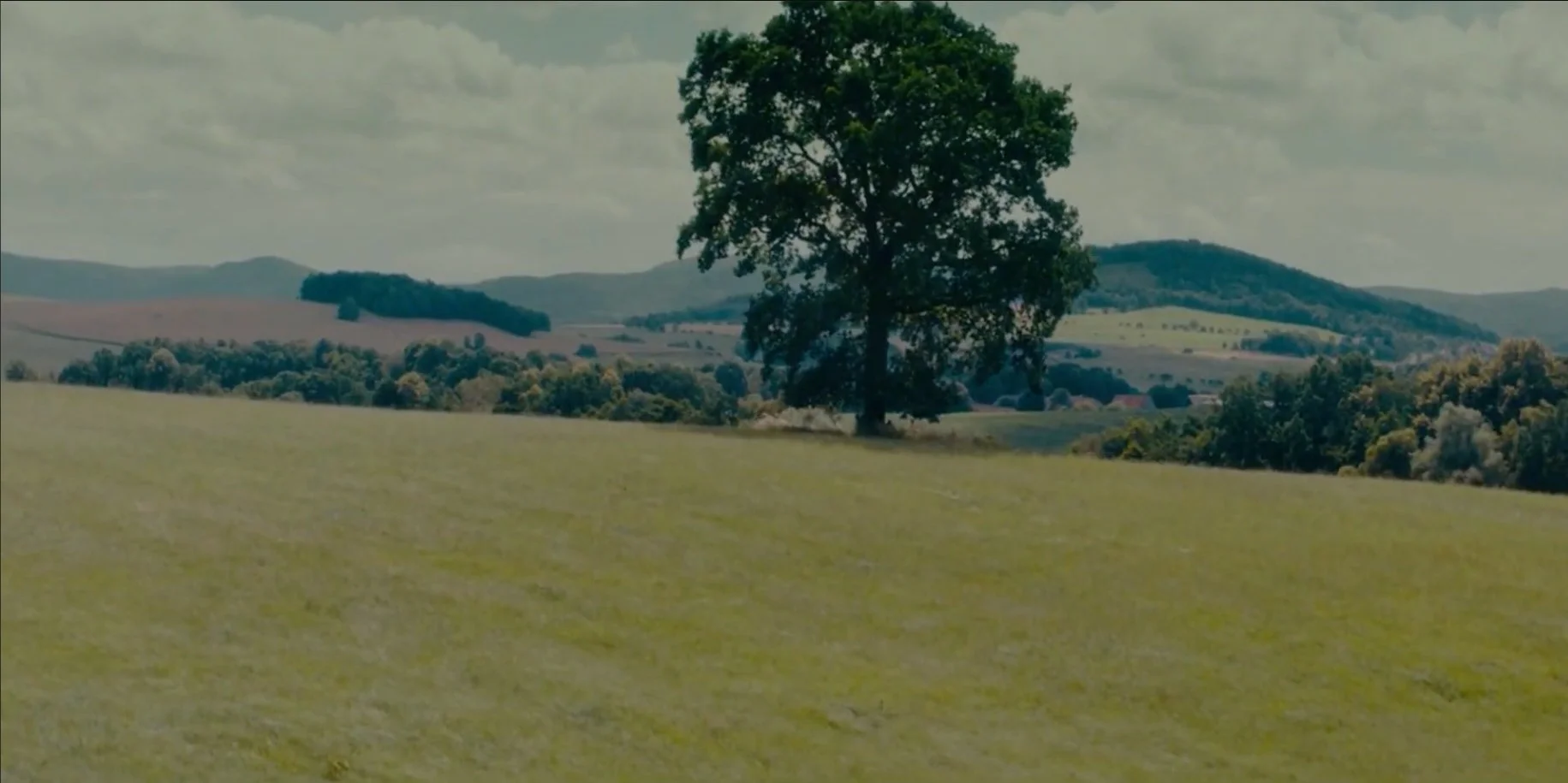 Screenshot 2026-02-17 at 18.59.37.jpeg