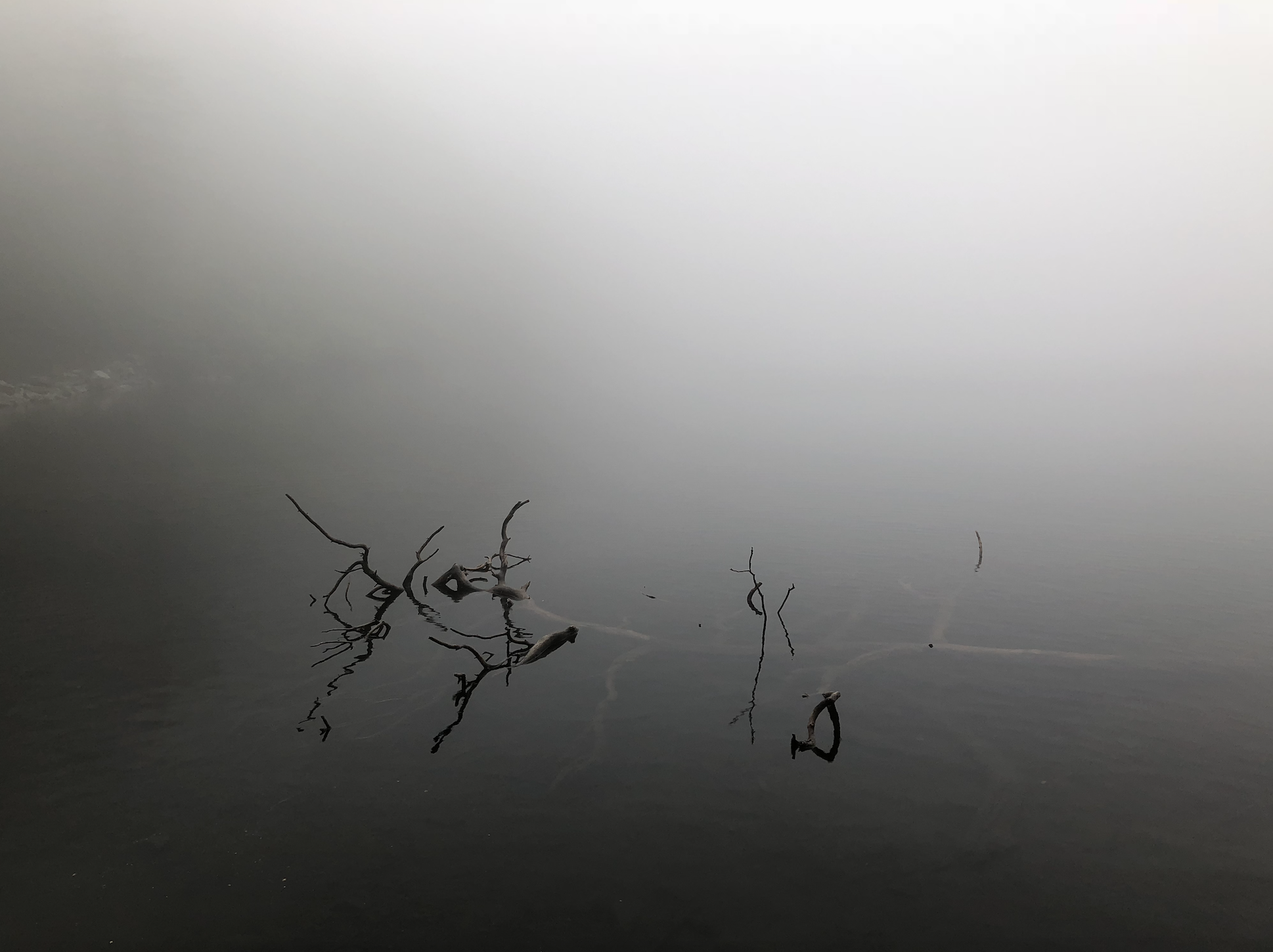 Screen Shot 2019-05-30 at 8.02.21 AM.png