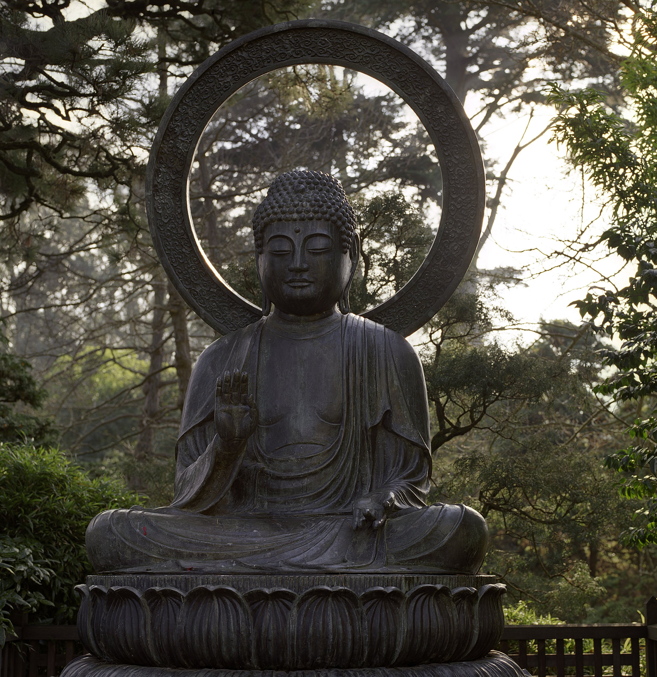 Tea Garden Buddha