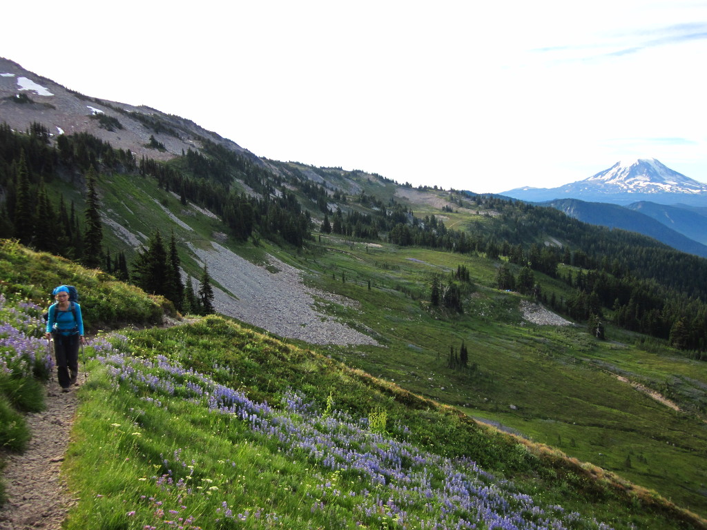 Goat Rocks, WA during summer 2012