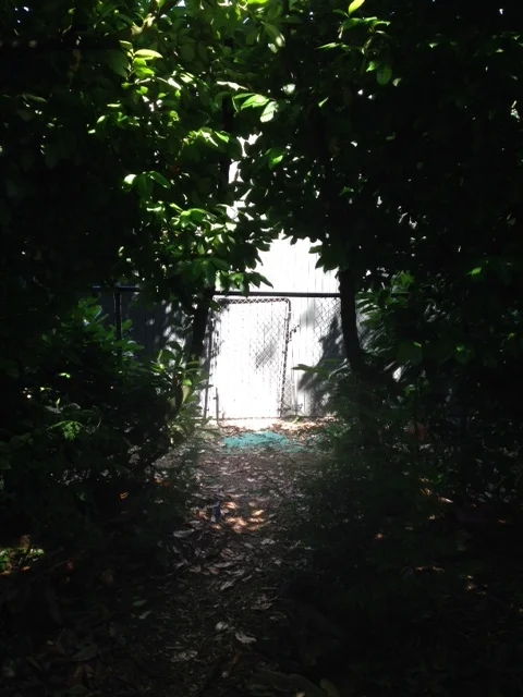 path.jpg