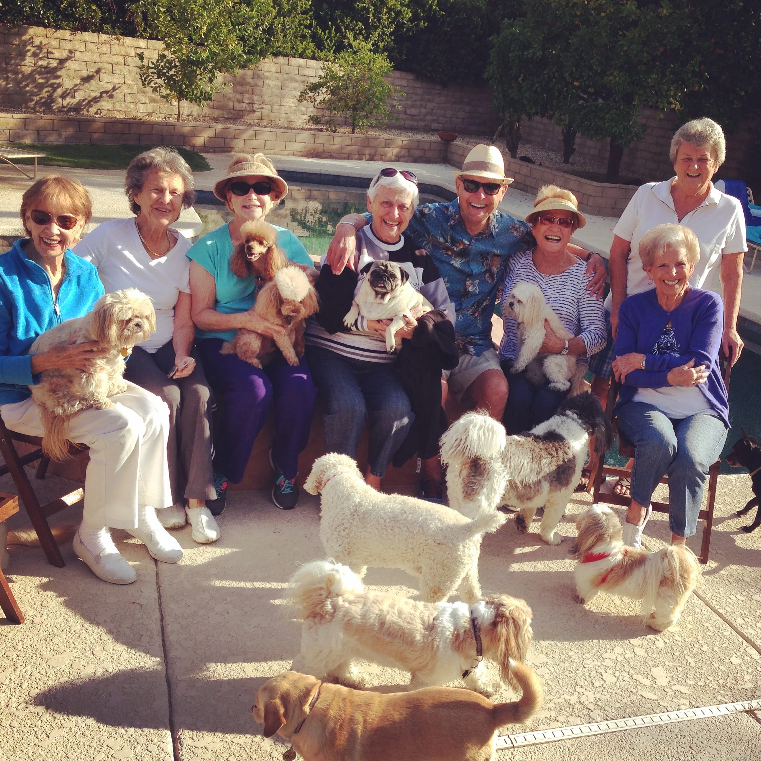 A picture of my Grandma Nita and her FABULOUS doggy Club—the inspiration for Early Retirement!