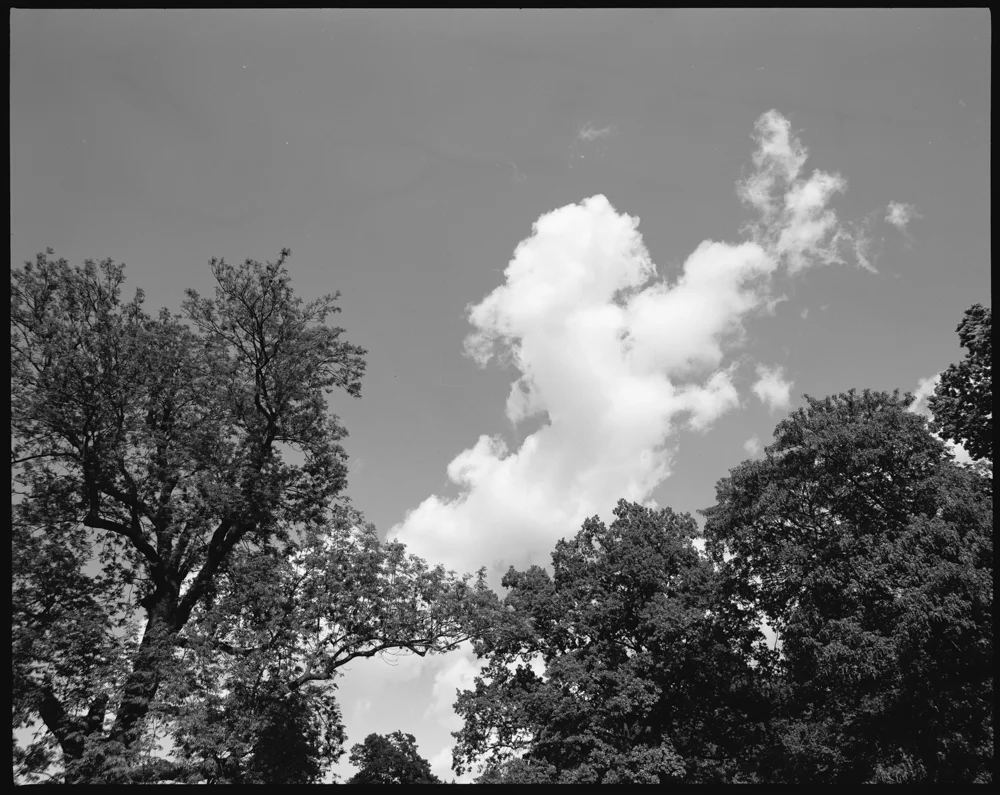 img401-size.jpg