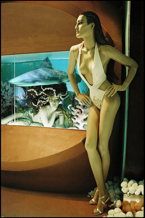 06.jpg