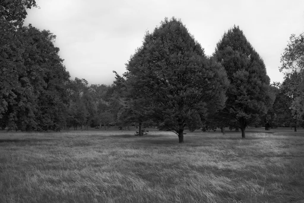 Haag_2955w.jpg