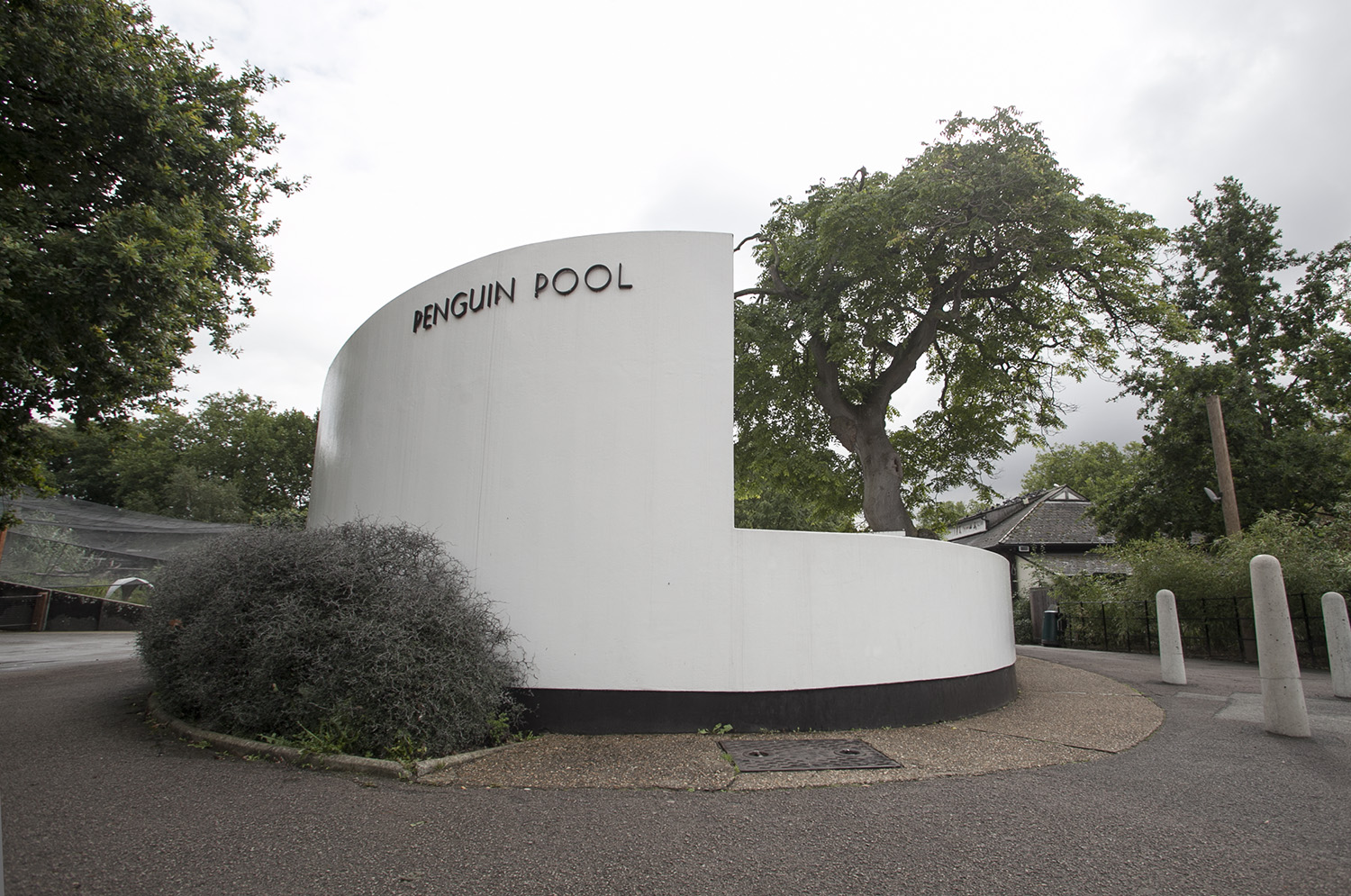 PenguinPool_6769 copy.jpg