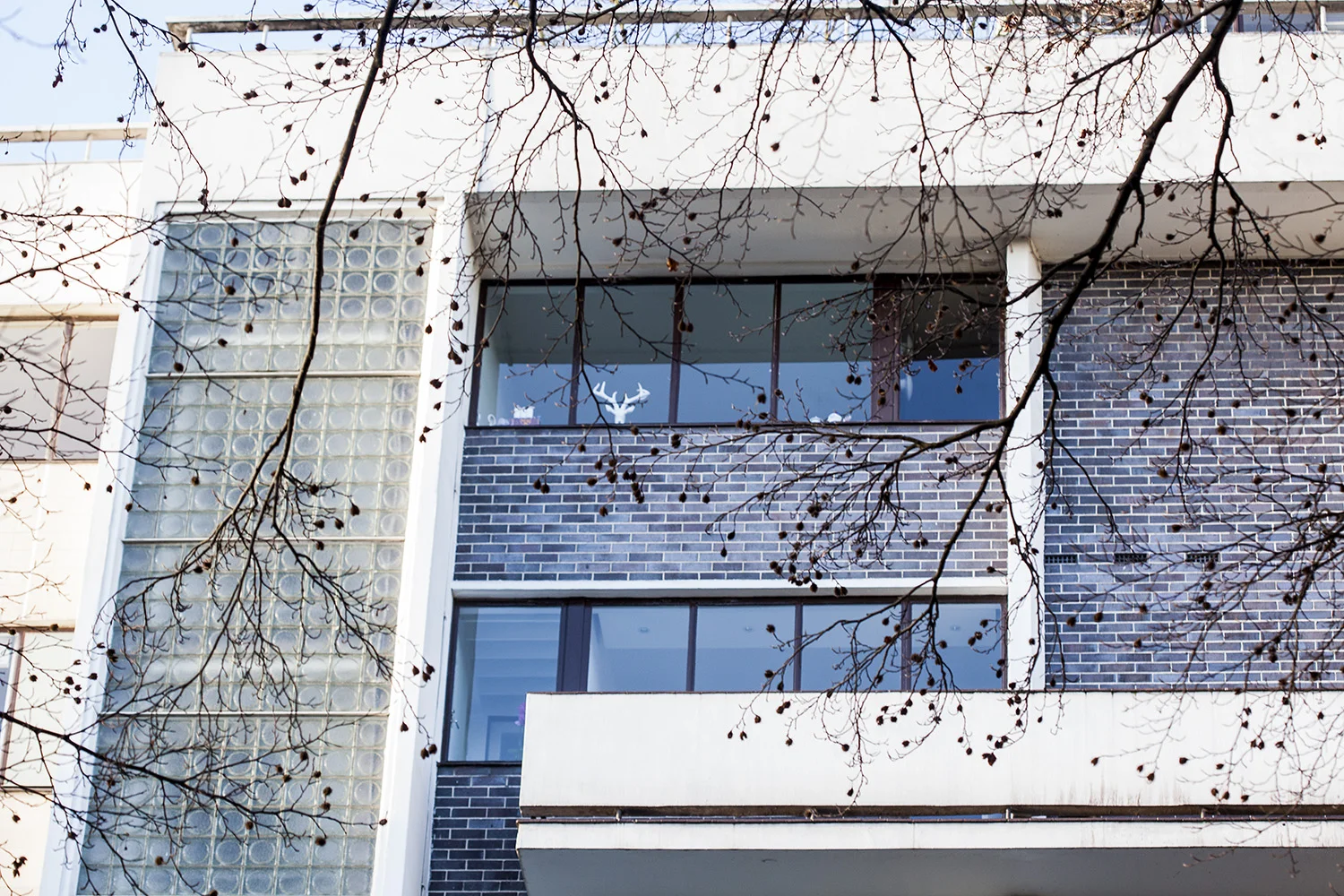 HighPoint_0094 copy.jpg