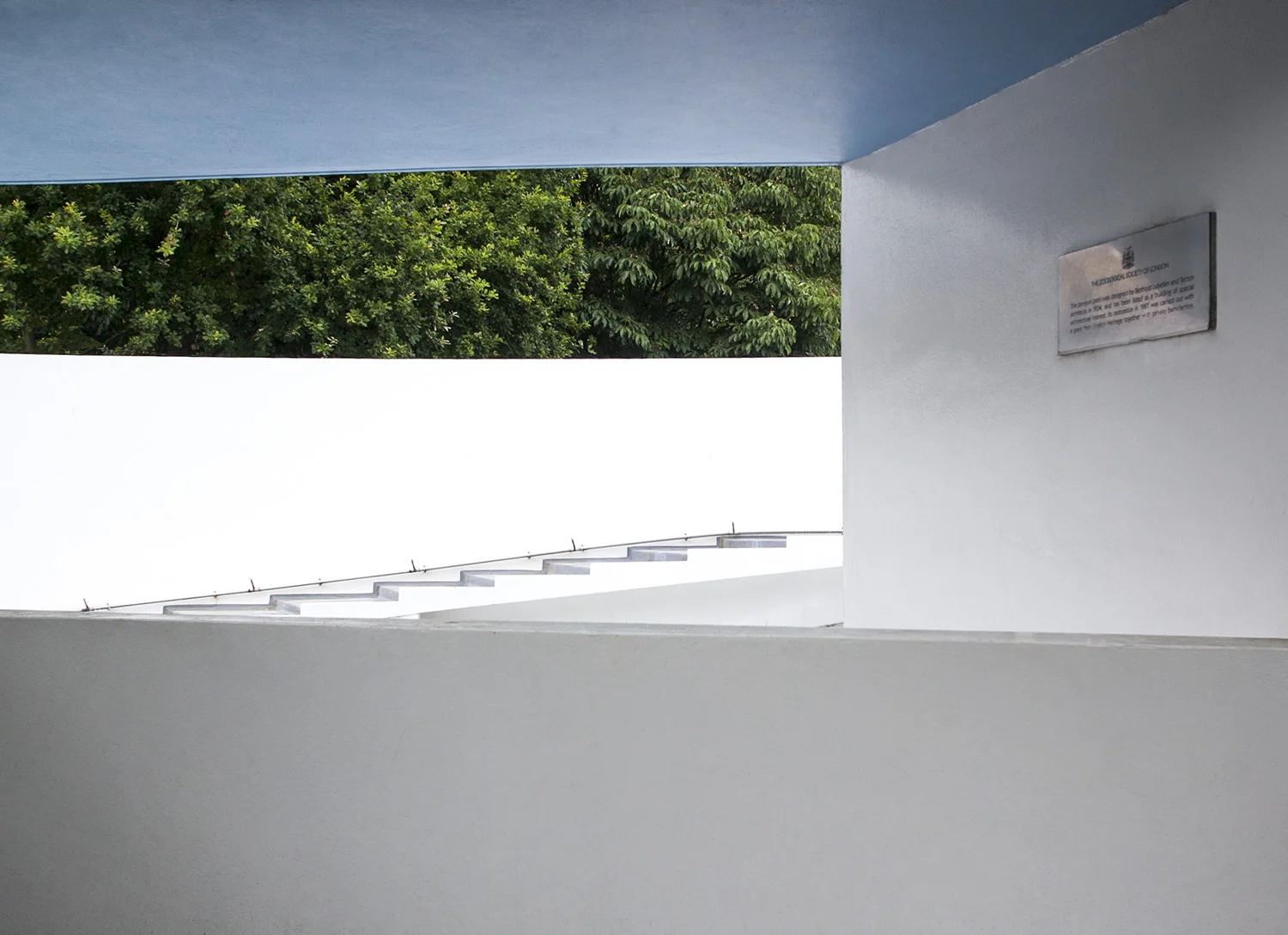 PenguinPool_6712 copy.jpg