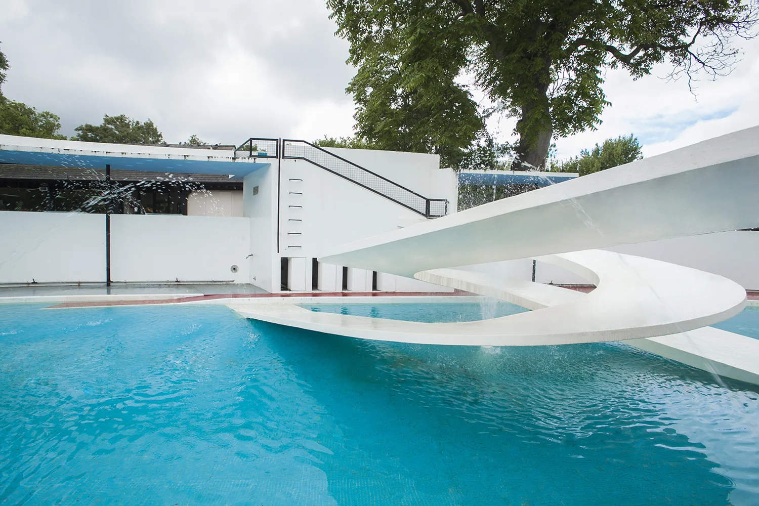 PenguinPool_6674j copy.jpg