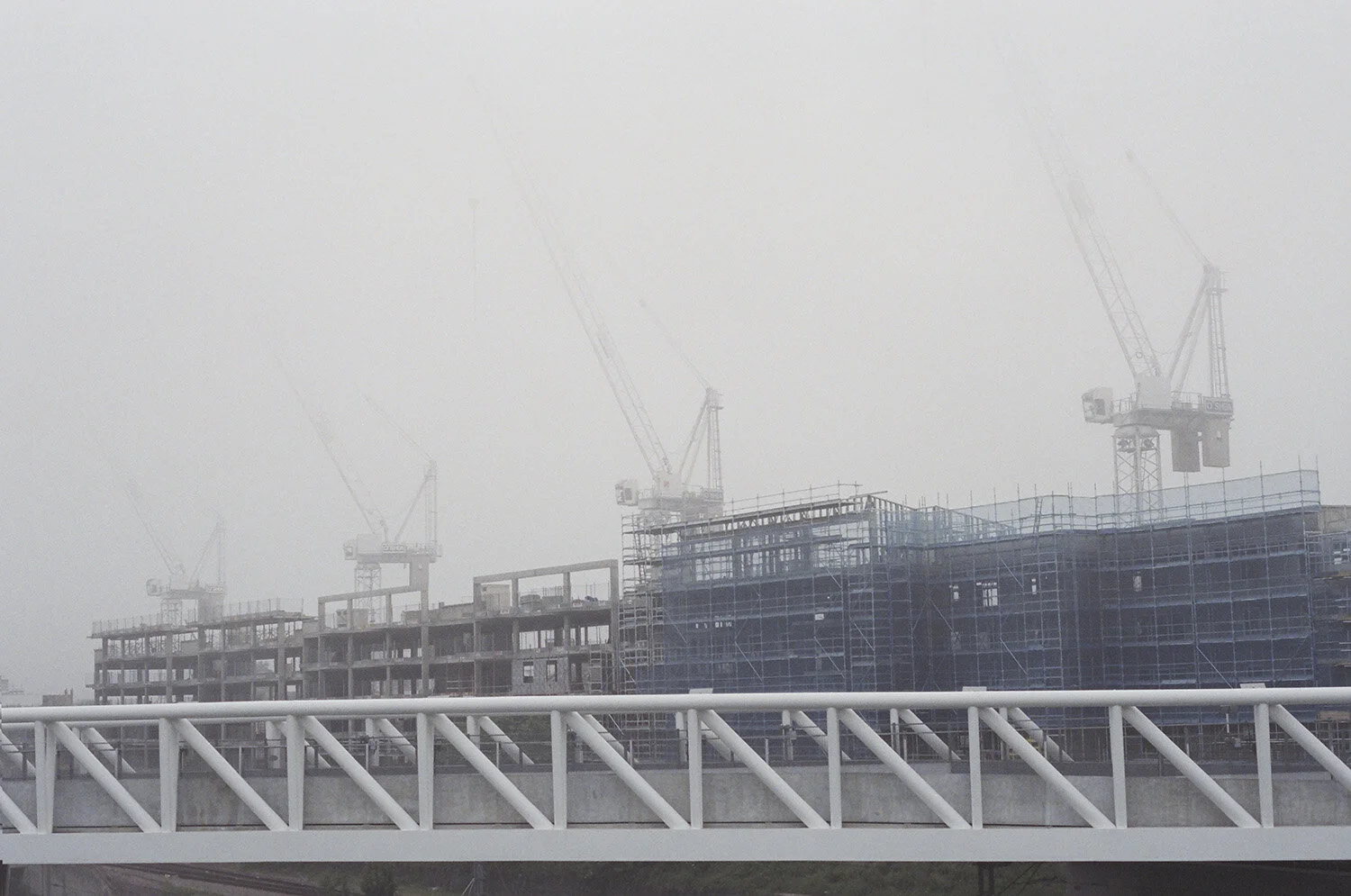 76300032PRINT copy.jpg