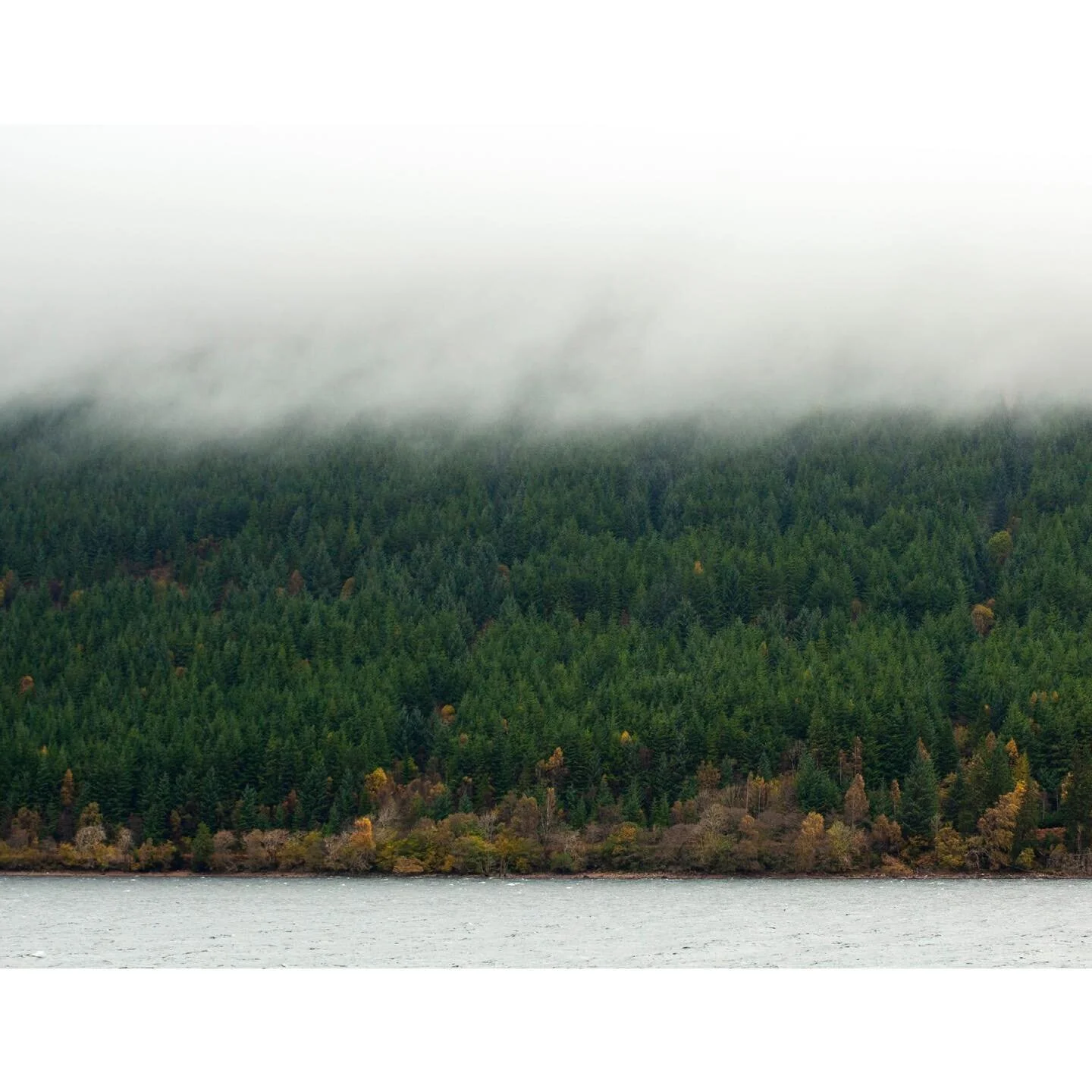 I generally dislike shearing my work on social media.. On the contrary, I enjoy incredibly photographing trees. Particularly, vast amounts of trees. Even more so, trees growing on the other side of the lake covered with a thick layer of mist.. This i
