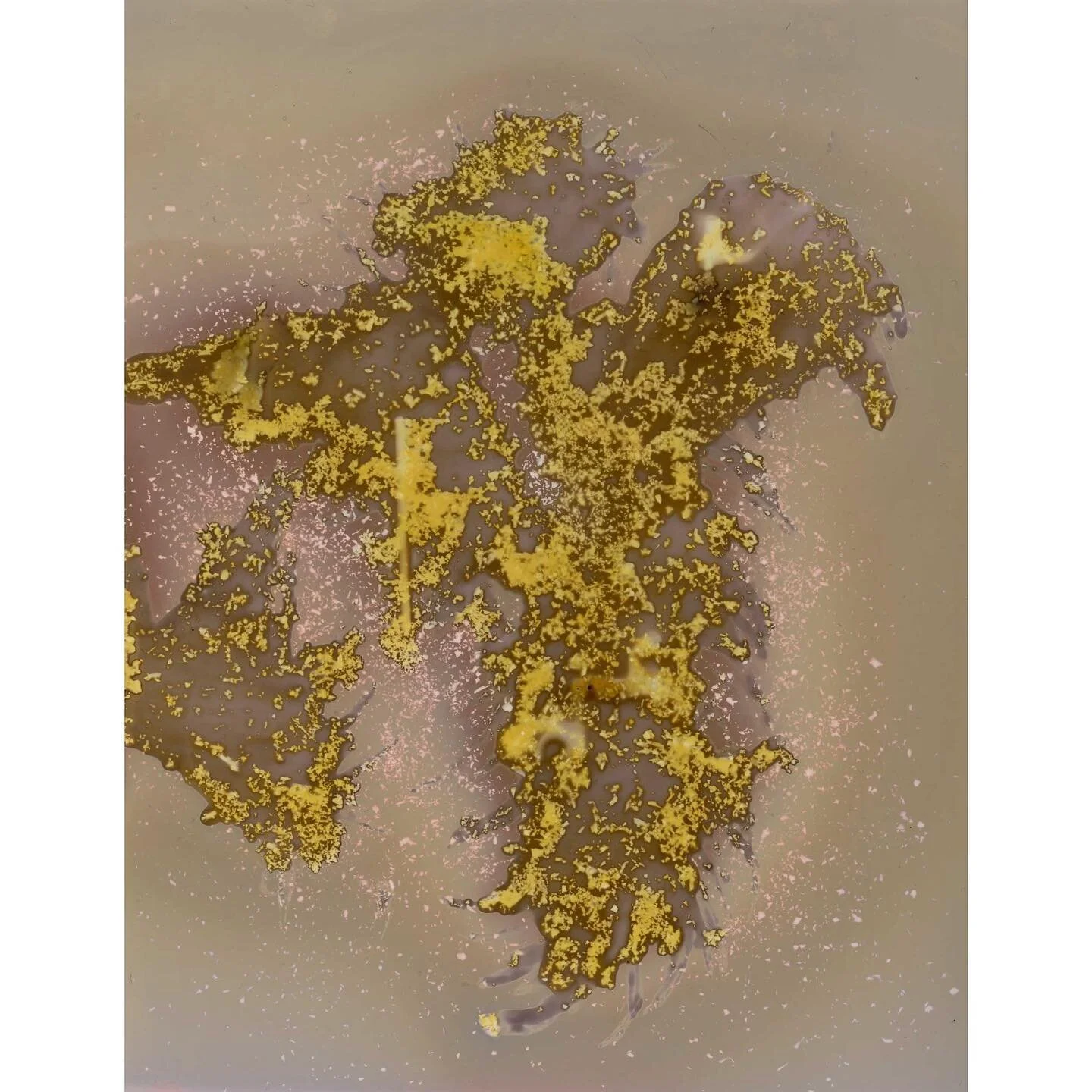 Unmanipulated Lumen Print 4 .
.
.
#lumenprint #abstractart #yevkazannik