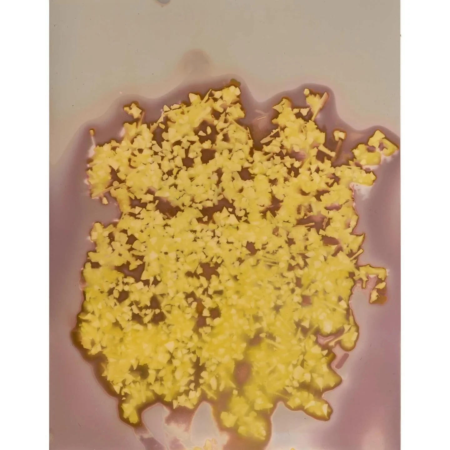 Flowers for Mama
Unmanipulated Lumen Print 5 .
.
.
.
#lumenprint #abstract #yevkazannik