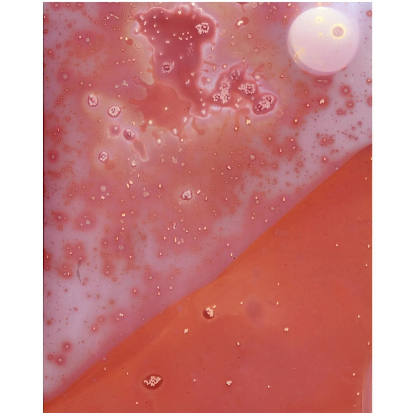 Octopus Galaxy

from Unmanipulated Lumen Prints

.
.
.
.
#lumen #lumenphotography #lumenprint  #abstractart #artandecology
#artandscience #alternativeprocess #alternativephotography
#cameralessphotography #colourprint #darkroomphotography
#darkroompr