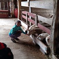 BIRTHDAYFEEDING.jpg