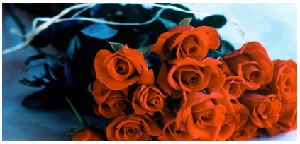flowers.jpg