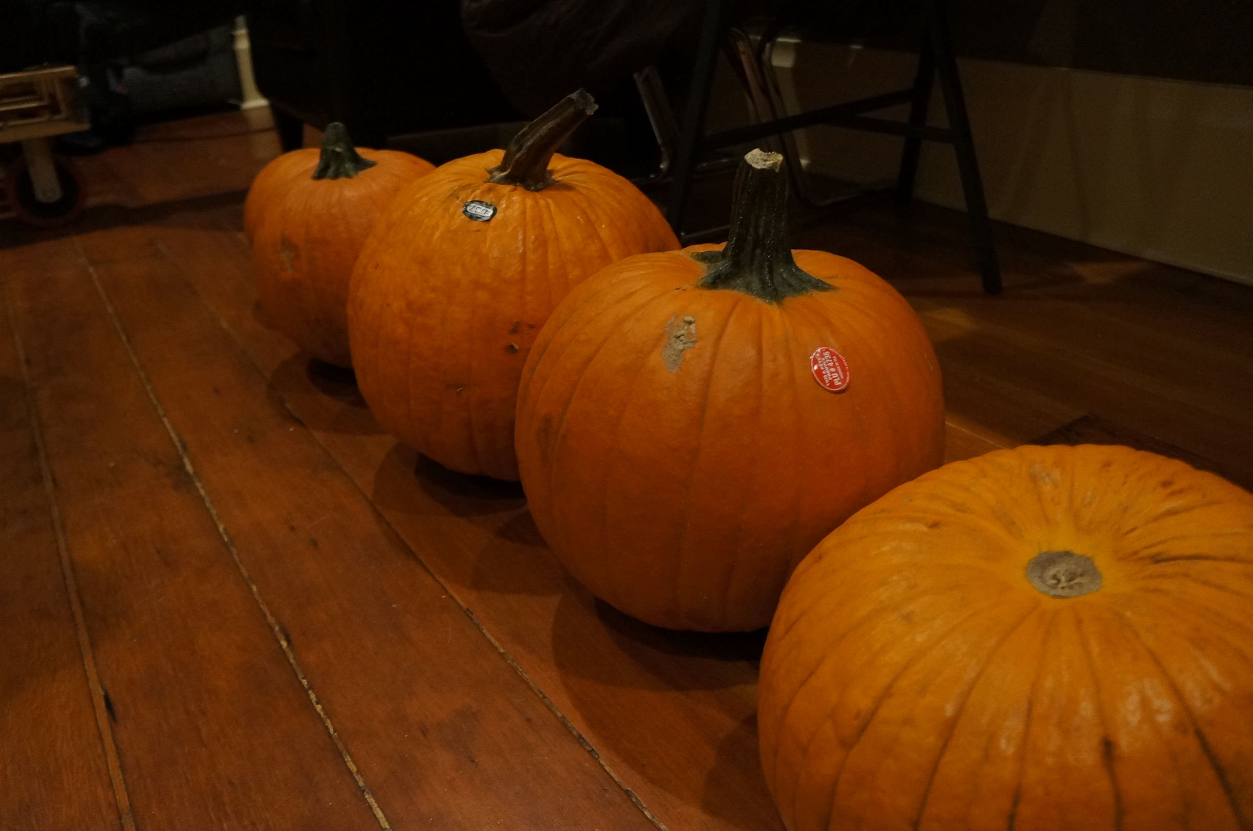 De retour du Safaway avec 6 citrouilles en main.