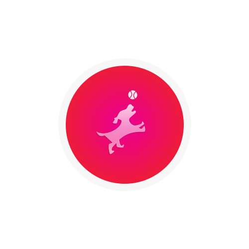 cover_smart2.png