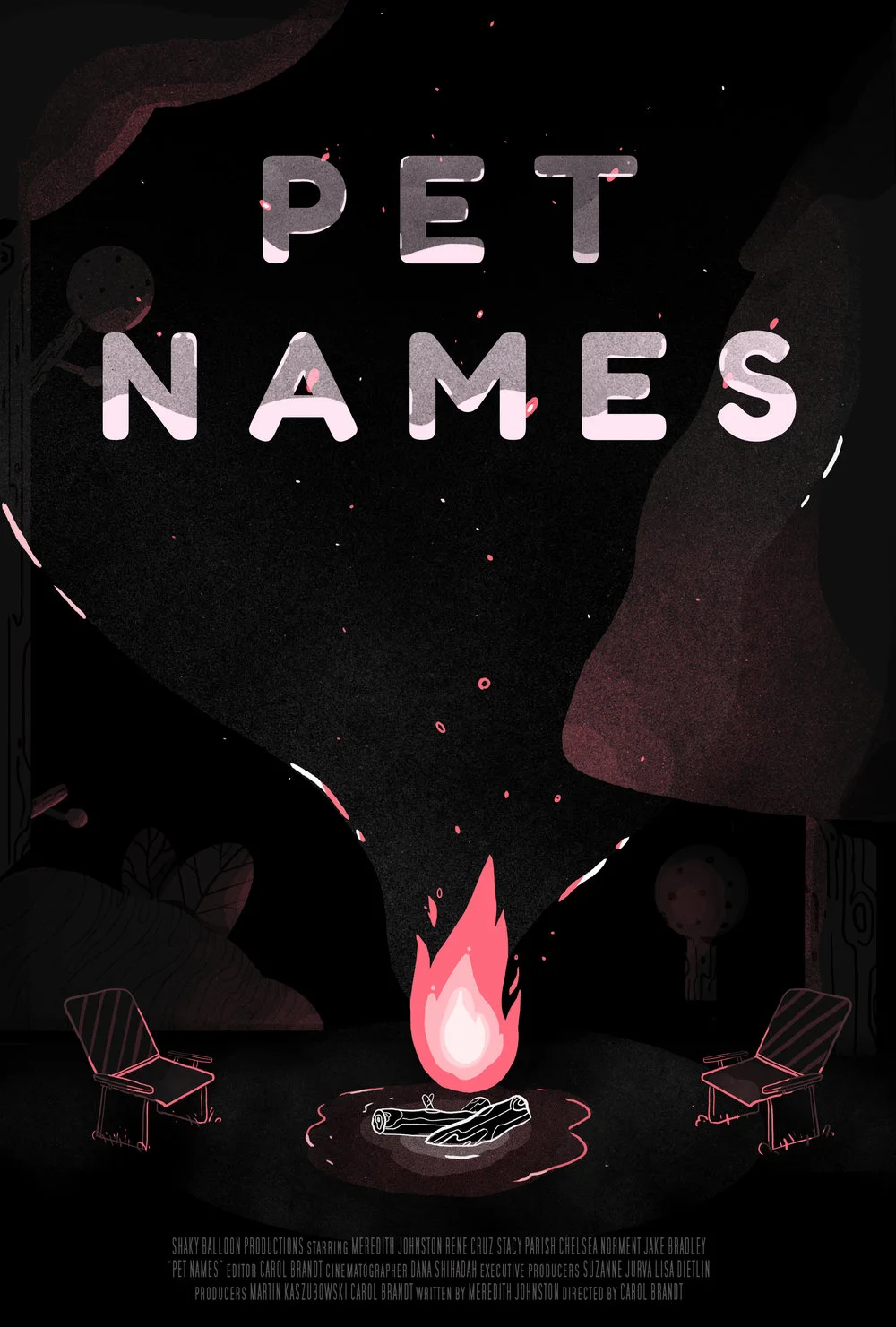 PetNames_ALtPoster.jpg
