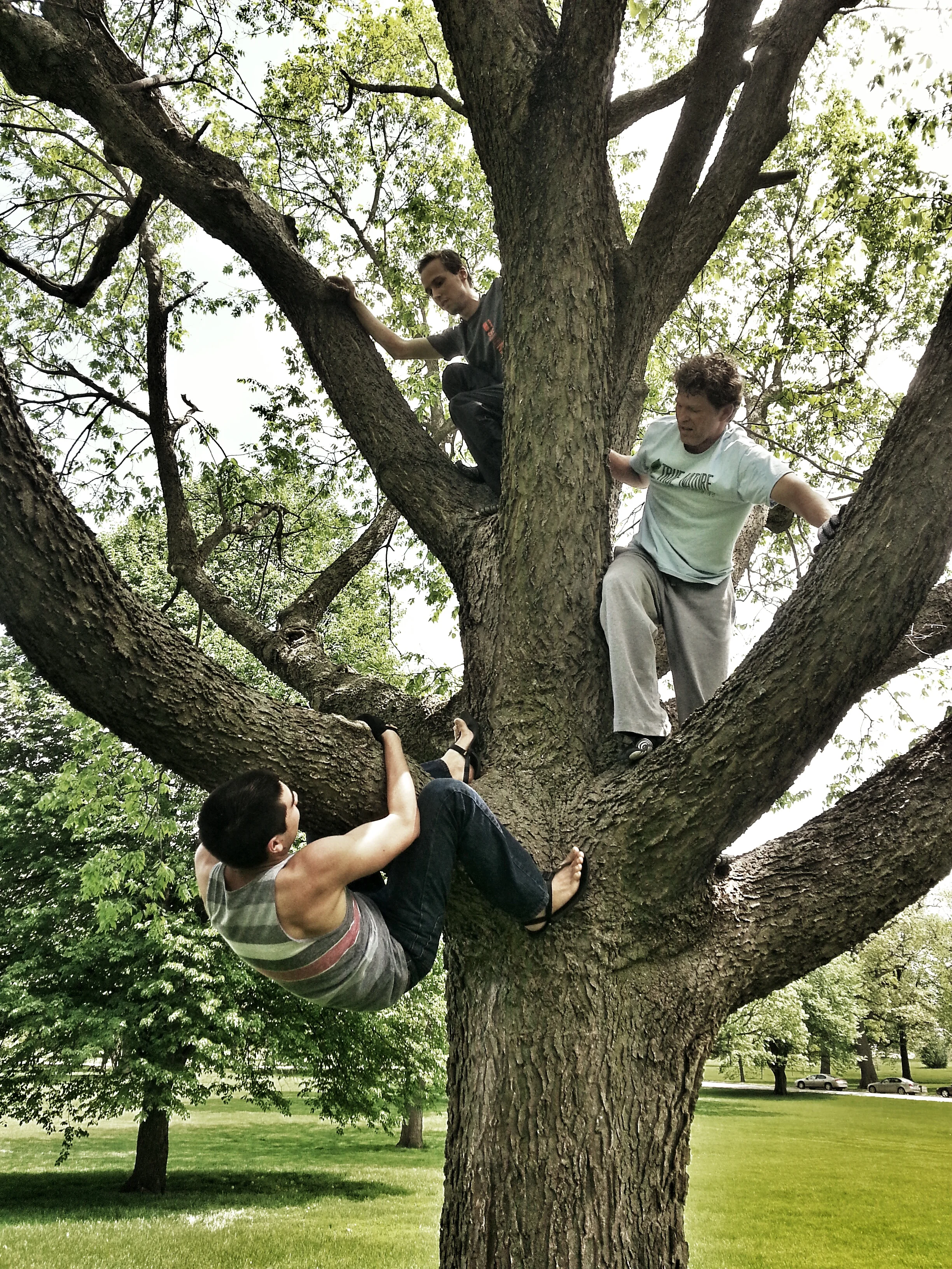 Playout with Des Moines Paleo - Tree Climbing