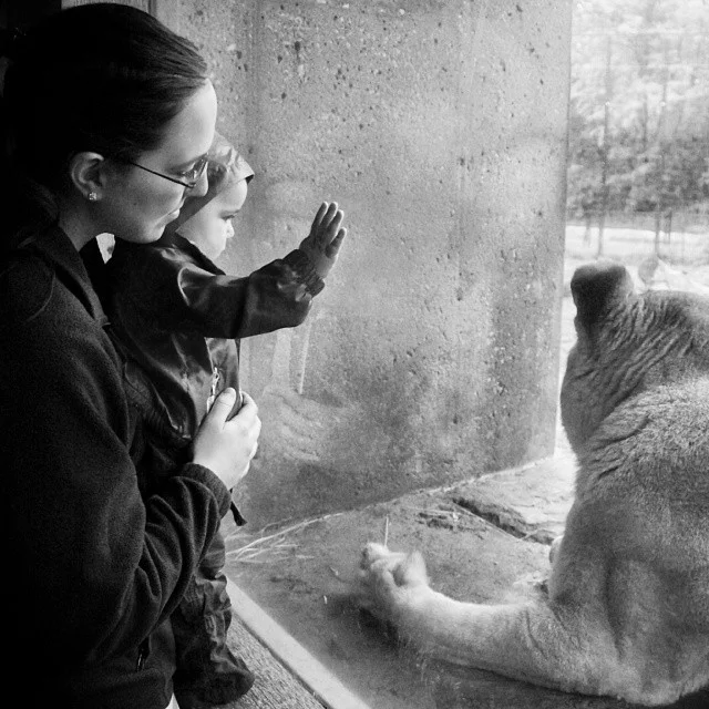 We went to the zoo for my wife's 1st mother's day and my son Ryker's 1st zoo!