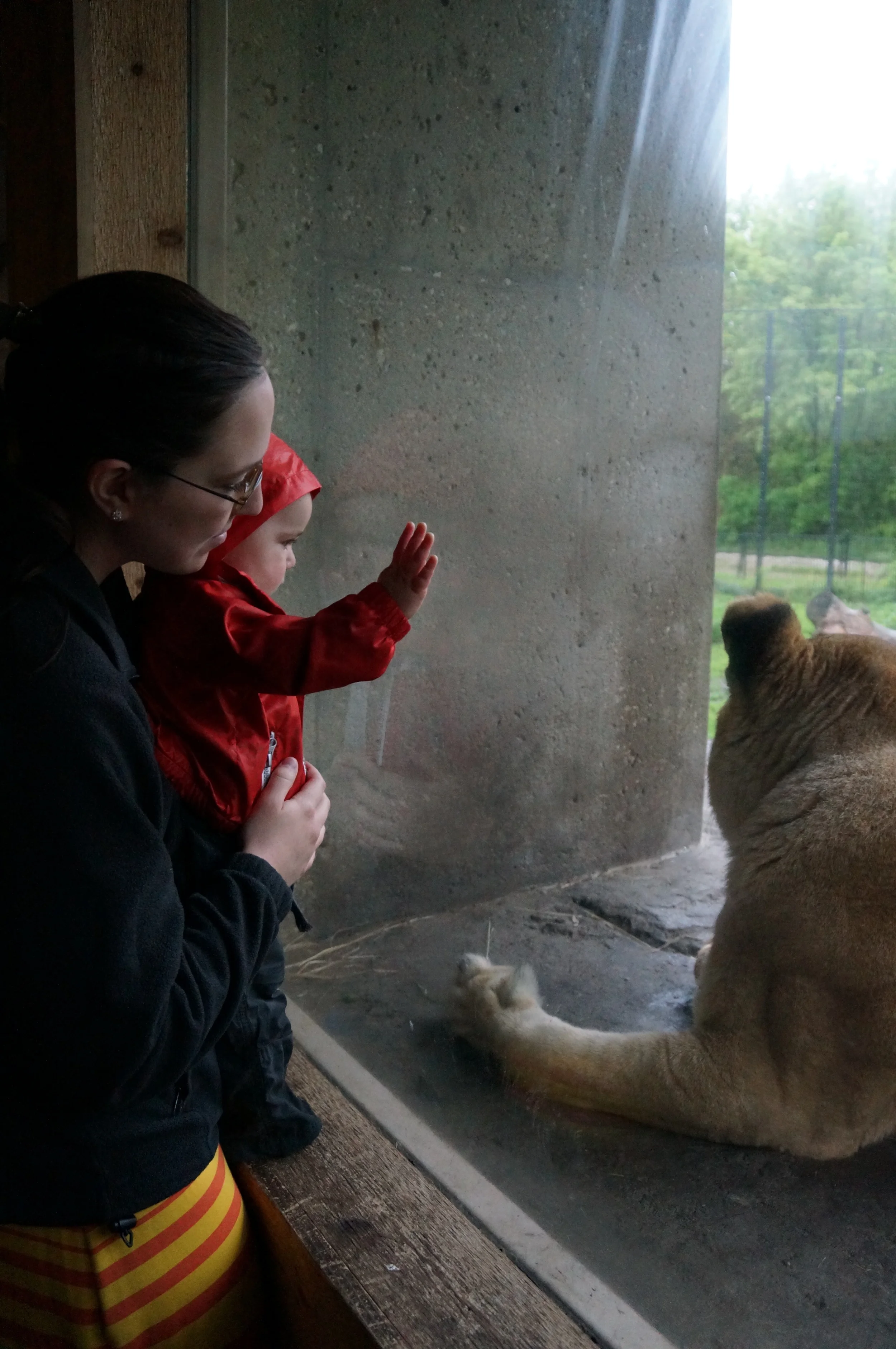 We went to the zoo for my wife's 1st mother's day and my son Ryker's 1st zoo!