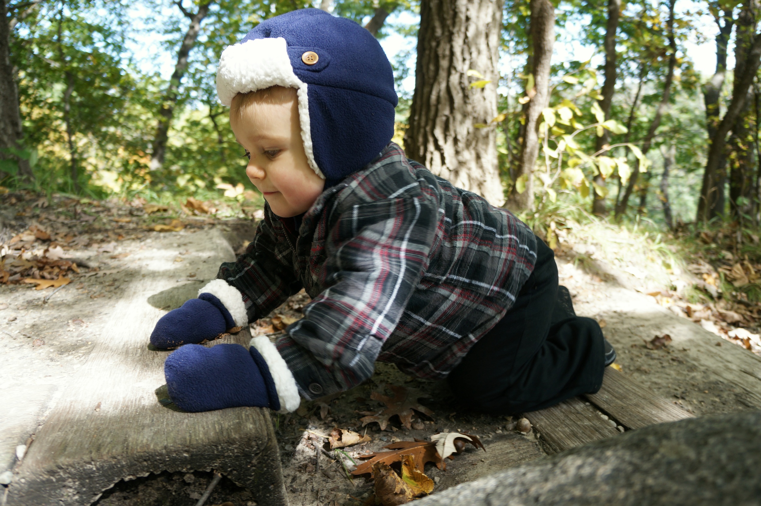 Ryker the Hiker