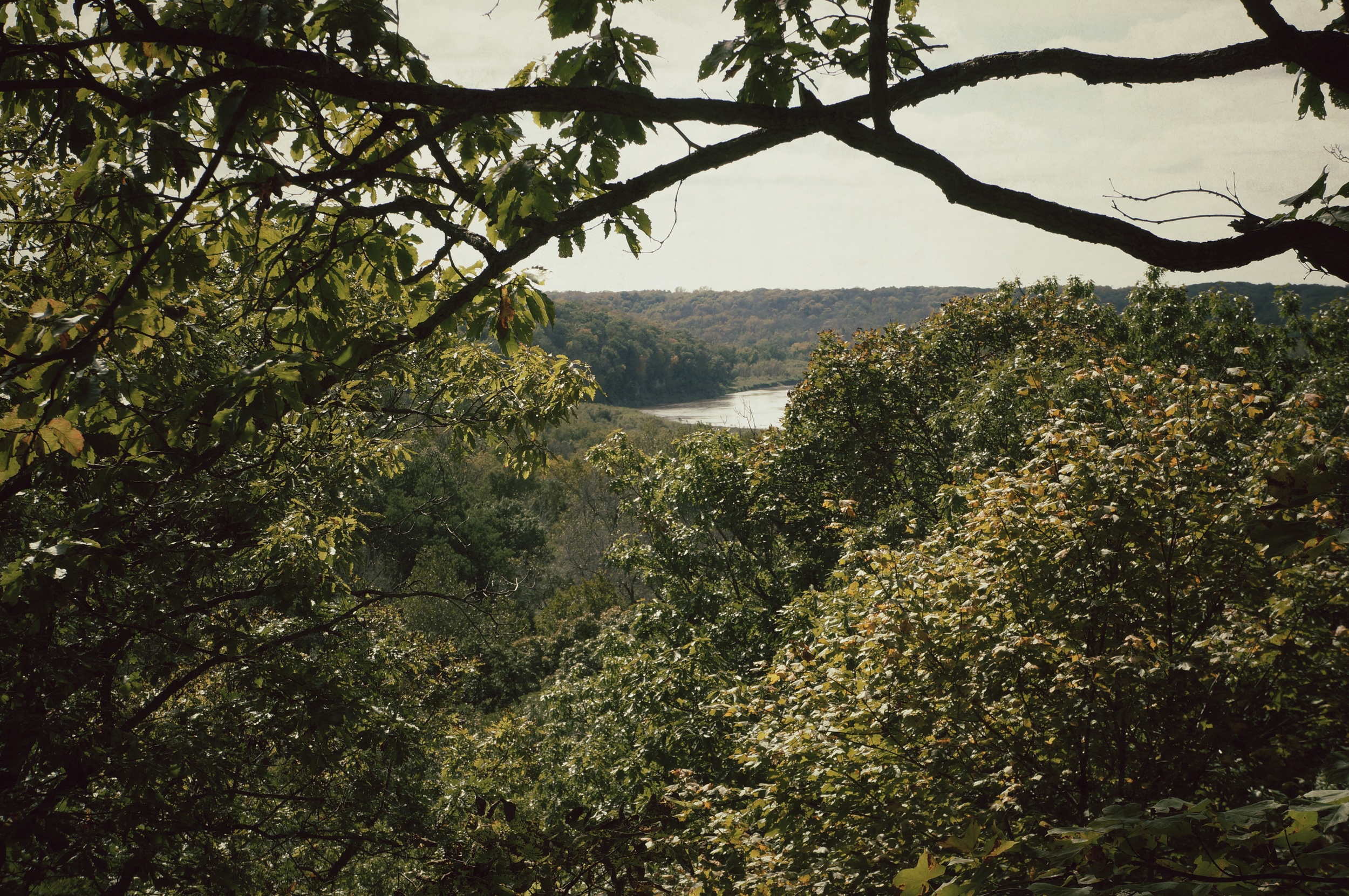 Ledges Landscape