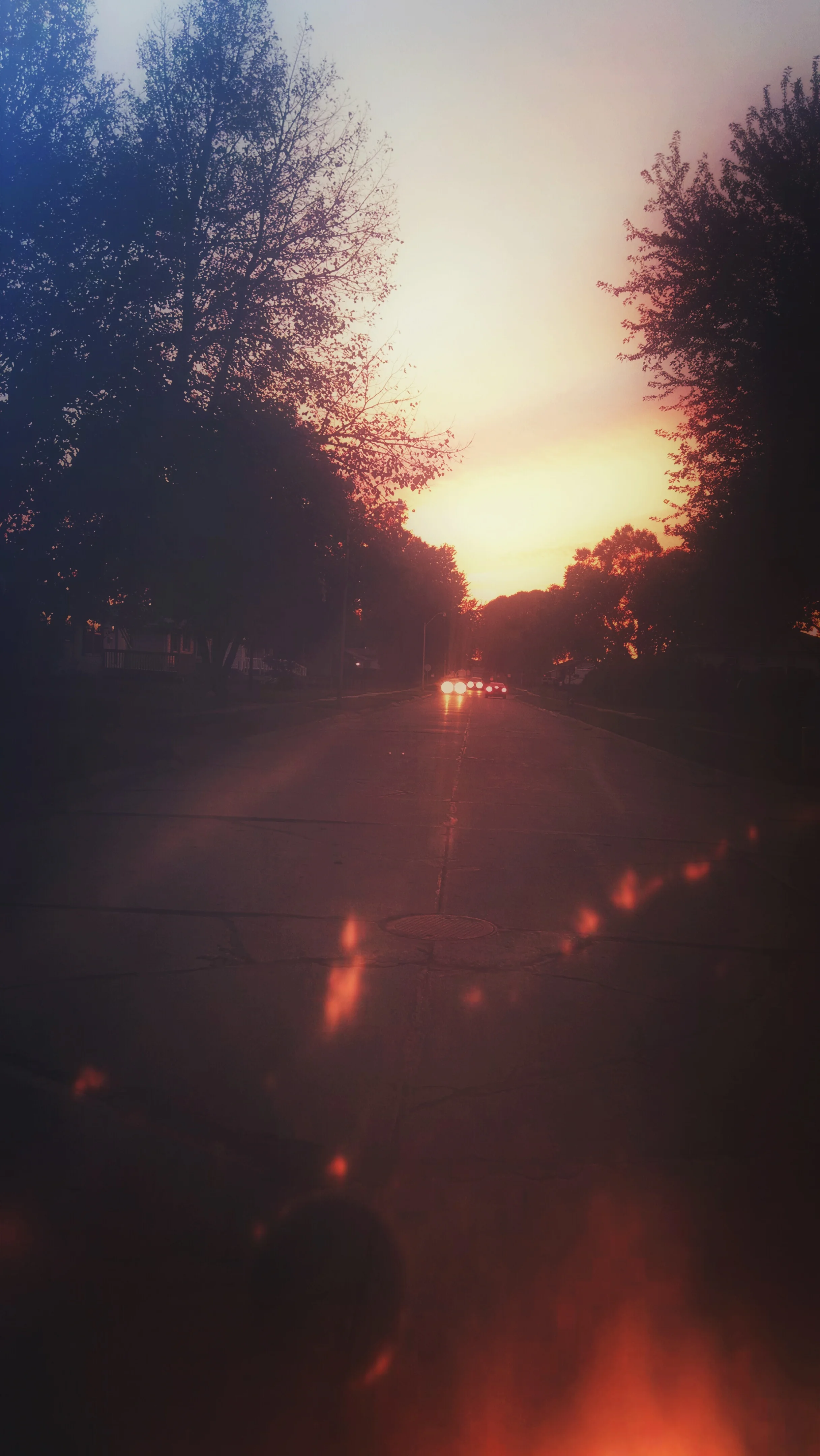 Just a shot down my street after an evening walk.