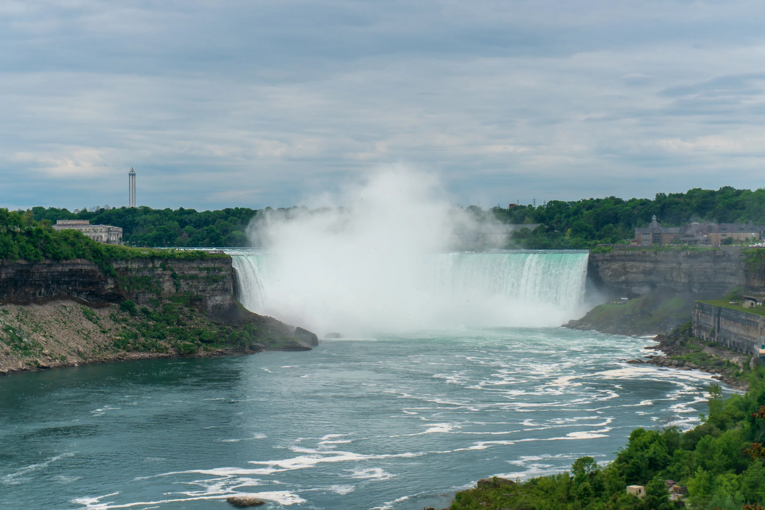 _DSC8590.jpg